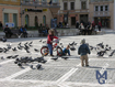 Brasov