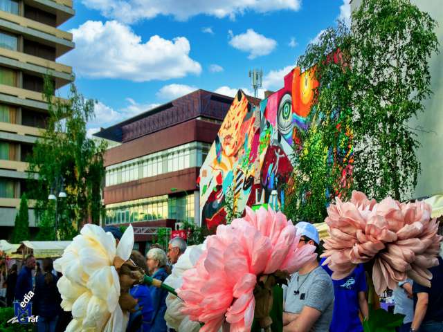 Imagini Foto Brasov, Romania