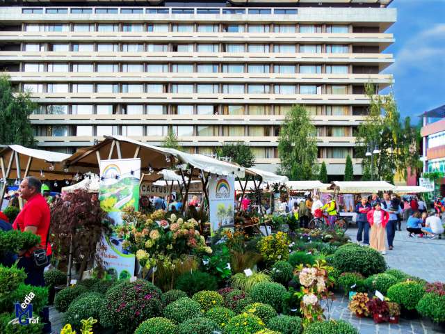 Imagini Foto Brasov, Romania