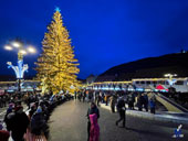 Brăduț în Piața Sfatului Brașov