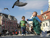 webcam brasov - Piata Sfatului