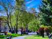 Domnisoare in Parc Brasov